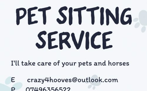 Promotional advertising for CRAZYFORHOOVES