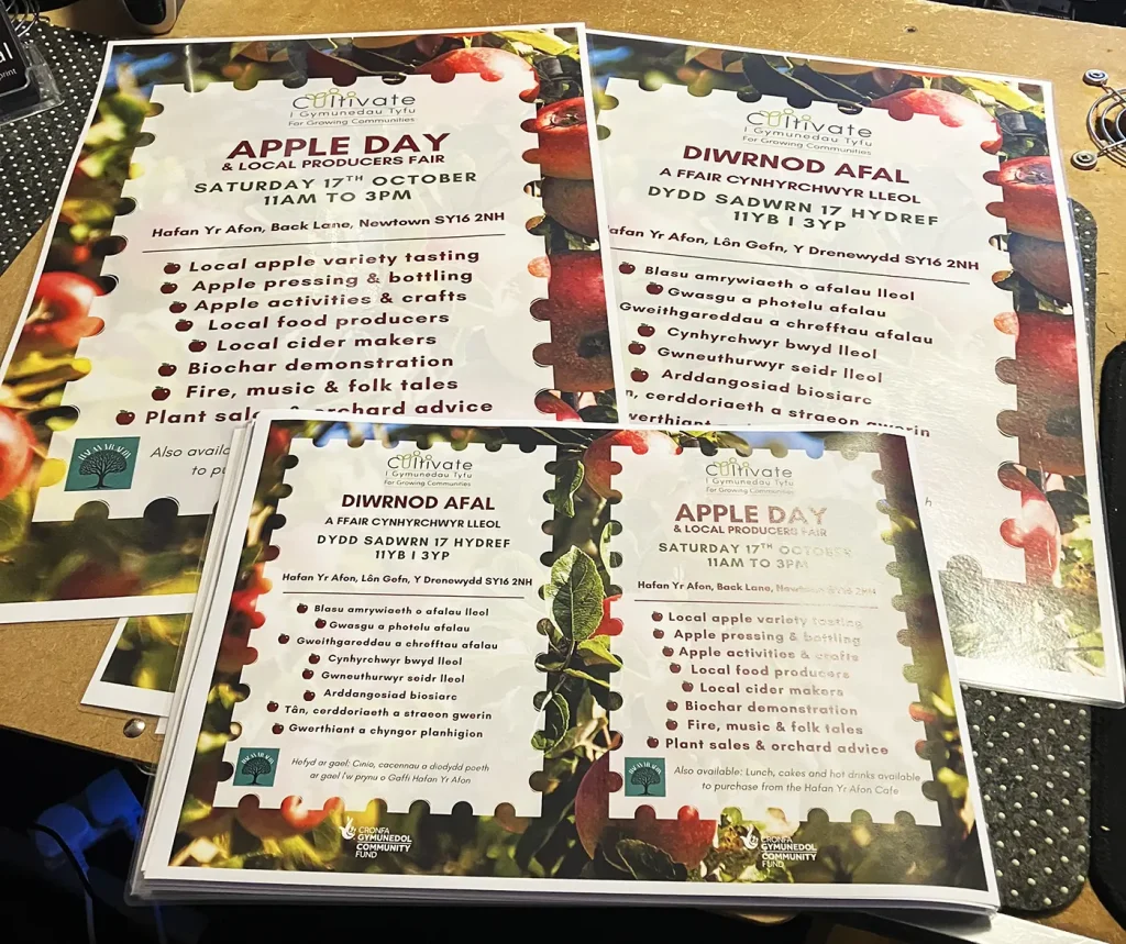 Posters & Flyers for the Apple Fair in Newtown on the 17th October 2026 produced by Bluesdigital.