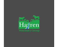 01686 625 344 Hafren Vets logo for veterinary care and livestock support Newtown.