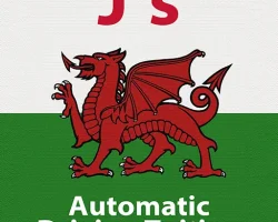 07807 047 150 JS Driving Tuition logo for automatic driving lessons Newtown.